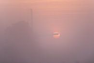 Zonnewind van Sake van Pelt thumbnail