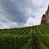 De kerk van Hunawihr, Frankrijk (Eglise Saint-Jacques-le-Majeur) van Discover Dutch Nature
