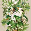 Ooievaar in het Groen Collage van Behindthegray