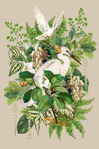 Ooievaar in het Groen Collage van Behindthegray