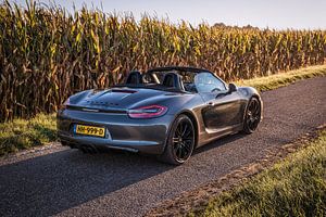 Porsche Boxster GTS Typ 981