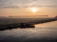 Des oies au-dessus du Plaspolder à Woubrugge