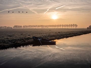 Ganzen boven de Plaspolder in Woubrugge van Kees van den Burg