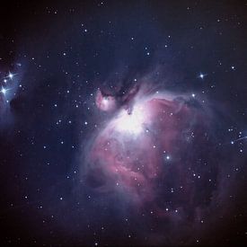 Orionnevel