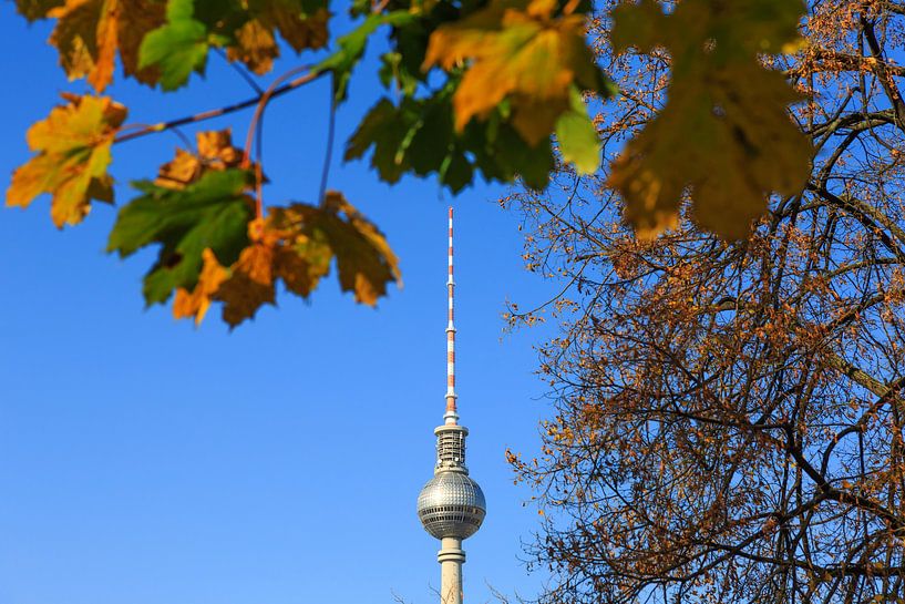 Fernsehturm Berlin im Herbst von Frank Herrmann