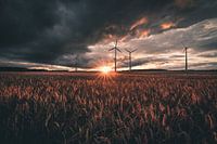 Winder wheels in the sunset