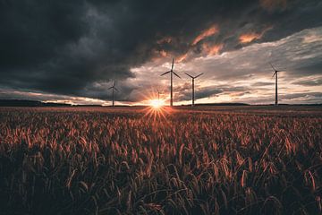 Spoelwielen in de zonsondergang van Skyze Photography by André Stein