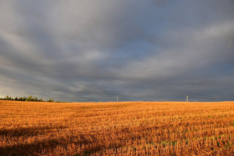 A field after the autumn harvest by Claude Laprise