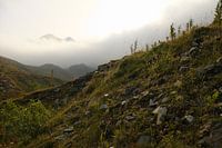 The meadows of the Petit Saint-Bernard Pass, French Alps