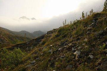 De weiden van de Petit Saint-Bernardpas, Franse Alpen van Hozho Naasha