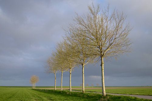 Lijnenspel in de polder