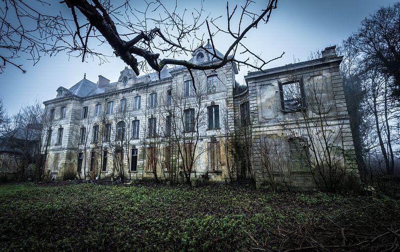 Villa abandonnée avec des arbres par Inge van den Brande