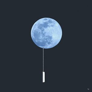 Moonlight - Conceptueel fotowerk van Michel Rijk
