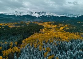 Fluisteringen van licht in de hoogte