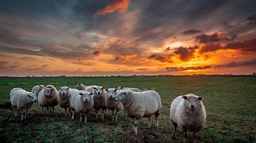 Wake up by Ard Jan Grimbergen