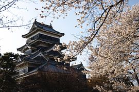 Schwarze Burg, Matsumoto von Erik de Witte