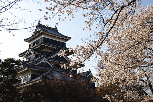 Zwarte kasteel, Matsumoto van Erik de Witte
