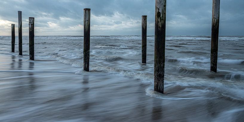 Palen in de zee van Albert Mendelewski