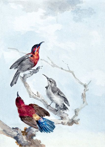 Vögel im Frühling von Mad Dog Art