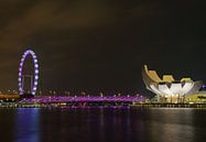 Riesenrad Singapur mit Helix-Brücke 2 von Martin de Hoog Miniaturansicht