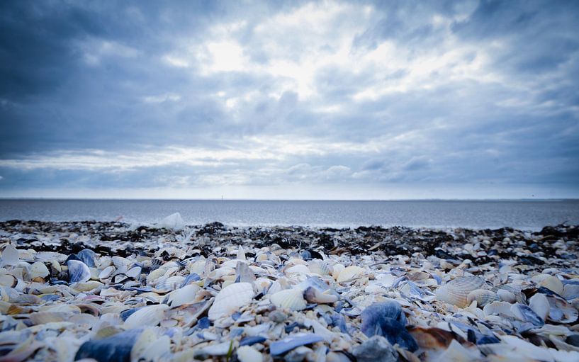 Beach von Thomas van Houten