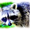 Visit from the raccoon by DeVerviers
