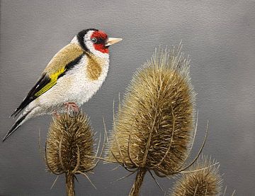 The Goldfinch by Russell Hinckley