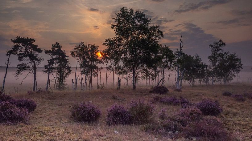 In de nevel by Henk Goossens