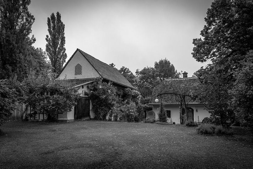 Vigneron en Südsteiermark, Autriche. par Gunter Nuyts
