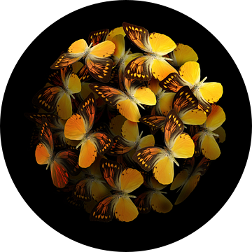 Morphogenic: Geel II (gezien bij vtwonen) van Morphogenic