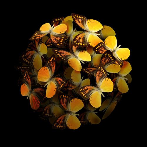 Morphogenetisch: Gelb II