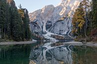 Bos en berg reflectie Lago di Braies (Dolomieten) van Thijs van den Broek thumbnail
