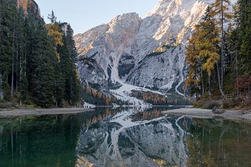 Wald und Berge Spiegelung Lago di Braies (Dolomiten) von Thijs van den Broek