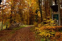 Herfst