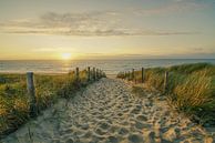 Strand, zee en zon van Dirk van Egmond thumbnail