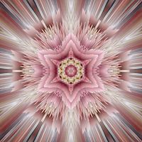 Explosion of love