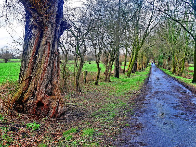 Profondeur par Edgar Schermaul