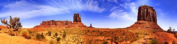 Monument Valley van fotoping