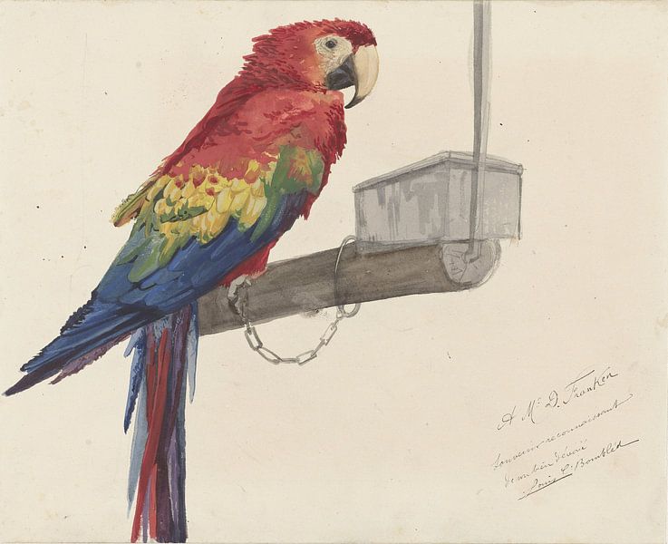 Papagei - A.M.D. Franken. von Marieke de Koning