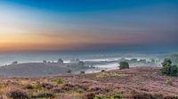 Sonnenaufgang im Nebel auf lila Heidekraut