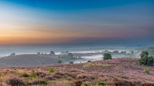 Zonsopkomst in de mist op een paarse heide