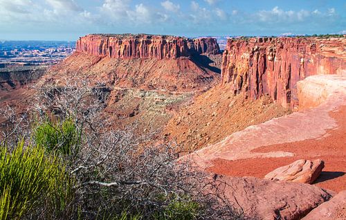 Tafelbergen in Canyonlands NP, Utah, VS