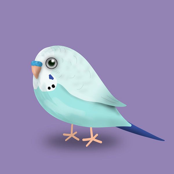 Cute light blue budgerigar by Bianca Wisseloo
