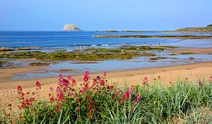 Ein herrlicher Sommerabend am Firth of Forth