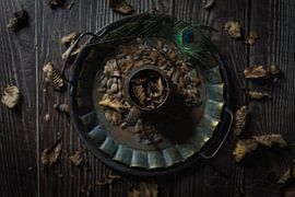 Stilleven | Heerlijke herfst sfeer van Steven Dijkshoorn