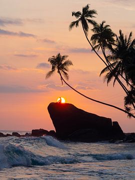 Sunset and palm trees on the beach of Dalawella, a tropical paradise near Unawatuna in Sri Lanka by Teun Janssen
