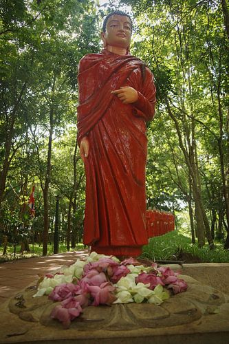 Red monk near Anuradhapura