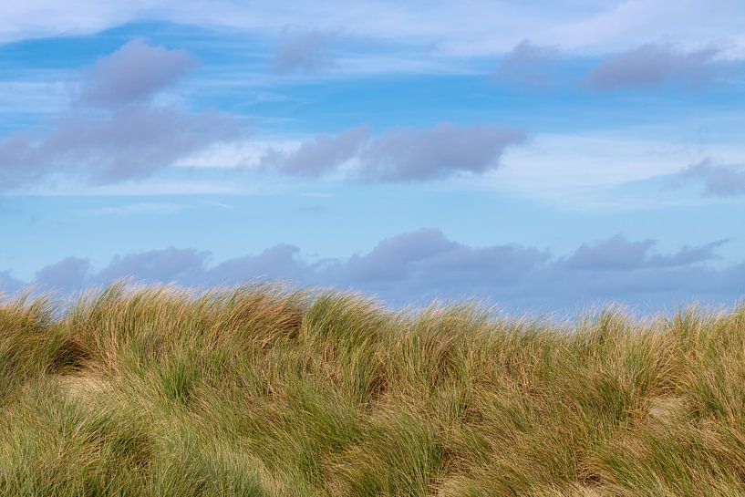 Wad - Helmgras tegen een blauwe lucht van Wad of Wonders