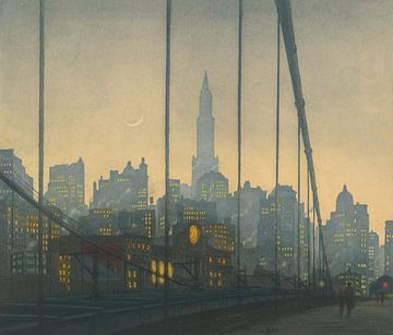 New York - Brooklyn Bridge, Tavík František Šimon