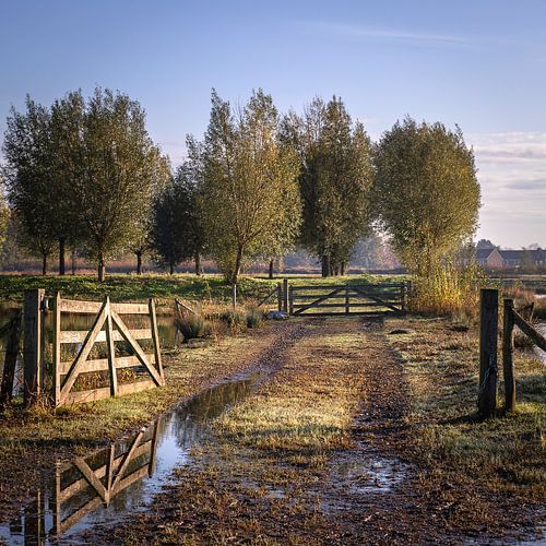 Waterdonken, Teteringen